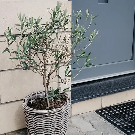 Meyer-ernzen Apartman *