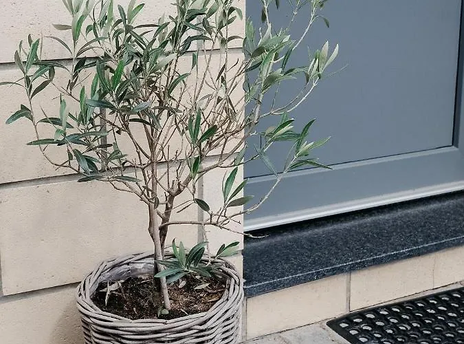 Meyer-ernzen Appartamento *